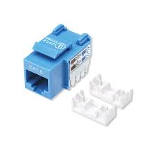 CAT6-PNCHDWN-JACK-BLU